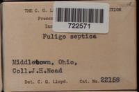 Image Associated With the Occurence